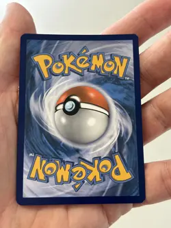 Morpeko - SWSH031 Promo Sword and Shield Promos Pokemon Card - Image 2