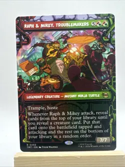 Raph & Mikey, Troublemakers (Showcase) Teenage Mutant Ninja Turtles Regular - Image 1