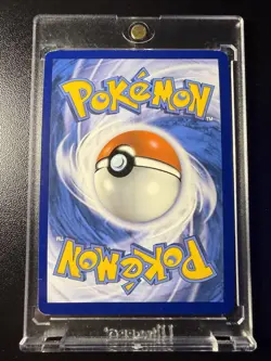 Pokemon TCG Turtwig GG31/GG70 Crown Zenith Galarian Gallery Holo NM - Image 2