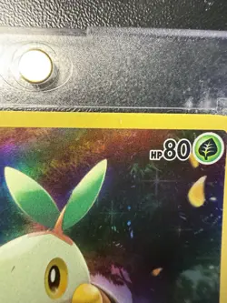 Pokemon TCG Turtwig GG31/GG70 Crown Zenith Galarian Gallery Holo NM - Image 3