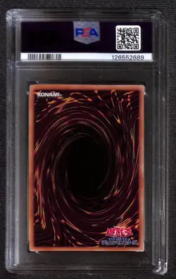 PSA Signed Eric Stuart & Dan Green YU-Gi-Oh! Yugi & Seto Kaiba Token QCDB-JPT01 - Image 2