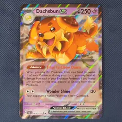 Dachsbun ex 67/142 - Stellar Crown - Double Rare Holo Pokemon Card - NM - Image 1