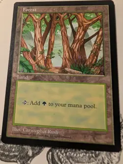 Magic The Gathering ASIA PACIFIC LAND PROGRAM APAC FOREST CHINA Blue pack MTG - Image 1