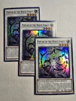 Yugioh! 3x Poplar of the White Forest ALIN-EN041 Super Rare 1st Ed NM - Image 1