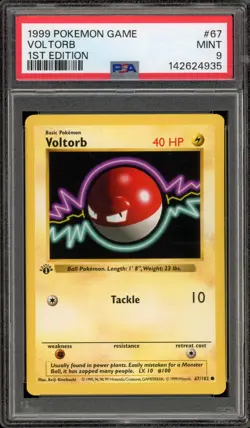 Pokemon Voltorb Base Set Shadowless 1st Edition #67 PSA 9 Mint - Image 1