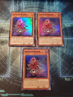 Yugioh - Glow-Up Bloom SR07-EN003 NM 1st ed Super Rare x3 - Image 1