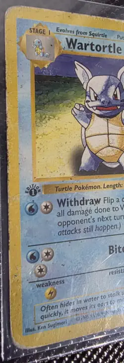 Pokemon Wartortle 1st Edition Shadowless Base Set Card 42/102 Potential PSA 1!!! - Image 2
