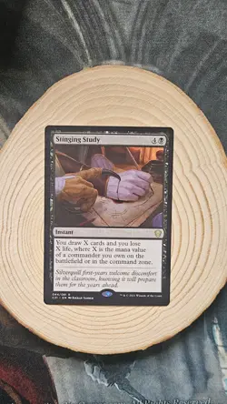 Stinging Study Commander 2021 Regular - Image 1
