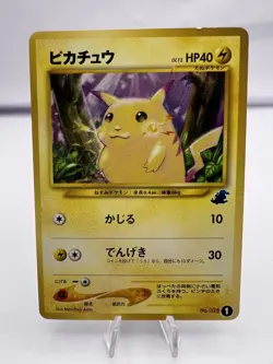 Pokemon Card Pikachu Intro Pack Totodile Deck Bulbasaur Deck 2 Set Japanese - Image 2