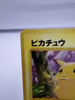 Pokemon Card Pikachu Intro Pack Totodile Deck Bulbasaur Deck 2 Set Japanese - Image 3