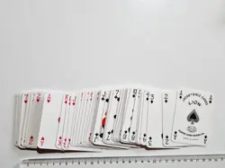 CARTE DA GIOCO LION JACOB'S BIBLE ISRAEL POKER BRIDGE ORIGINAL PLAYING CARDS - Image 4