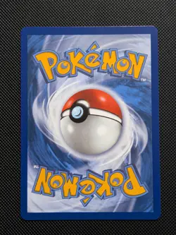 Pokemon First Partner Illustration Series 1 Kanto GEN 1 Starter Set - MINT - Image 5