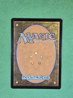 MTG Sacred Foundry #282 (Borderless) FOIL Edge of Eternities - Image 4