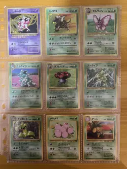 Pokemon Card COMPLETE Jungle Master Set 48/48 1999 Japanese - Image 3
