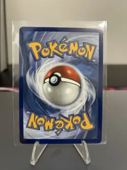 Pokemon First Partner Series 1 Set Charmander Bulbasaur Squirtle NM Just Opened - Image 3