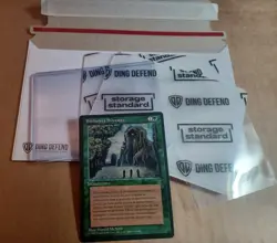 MTG - BIBLIOTECA SILVESTRE (Sylvan Library) Leggende In Italiano LP - Image 1