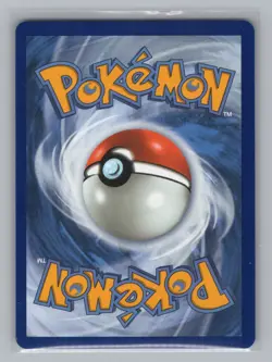 Charmander - 038 ME: Mega Evolution Promo NM Pokemon TCG Promo - Image 2