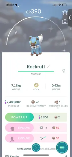Pokemon Go Shiny Rockruff - Image 1