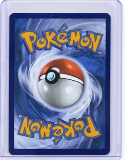 Riolu - 010 010 Holo Promo ME: Mega Evolution Promo Pokemon Holo Near Mint - Image 2