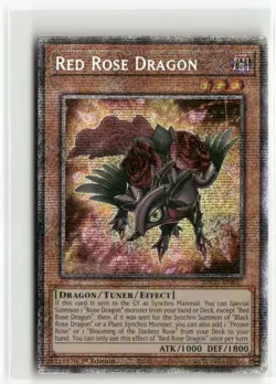 Yugioh Red Rose Dragon MP25-EN037 Starlight Rare NM 1st Ed - Image 1