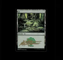 MTG Magic the Gathering Japanese Forest SIGNED MARK POOLE AUTO Dominaria FOIL - Image 1