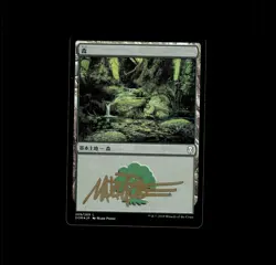 MTG Magic the Gathering Japanese Forest SIGNED MARK POOLE AUTO Dominaria FOIL - Image 1
