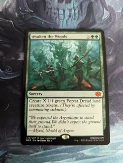 Awaken the Woods The Brothers' War Regular - Image 1