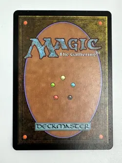 MTG Guru Land GURU PLAINS VG RARE -MANA MANSION - Image 2