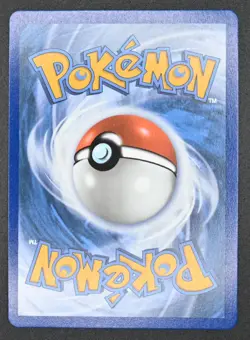 Mega Lucario ex 033 Pokemon TCG Me: Mega Evolution Black Star Promo Full Art NM - Image 4