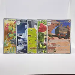 Pokemon BLACK BOLT I.R. Lot of 5 cards. Maractus/Drilbur/Throh/Beartic/Crustle - Image 2