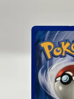 Pokemon TCG Mudkip 60/109 EX Team Rocket Returns English Reverse Holo 2004 - LP - Image 5