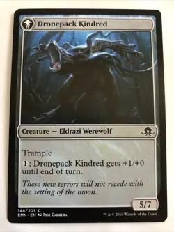 MTG Eldritch Moon Vildin-Pack Outcast 148/205 LP - Image 2