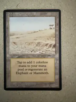 Magic The Gathering MTG Elephant Graveyard 1993 Arabian Nights LP - Image 1