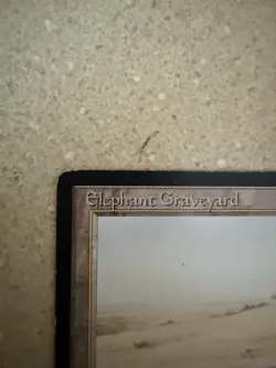 Magic The Gathering MTG Elephant Graveyard 1993 Arabian Nights LP - Image 2