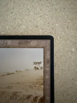 Magic The Gathering MTG Elephant Graveyard 1993 Arabian Nights LP - Image 3