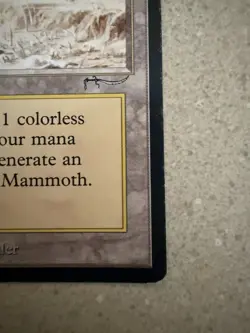 Magic The Gathering MTG Elephant Graveyard 1993 Arabian Nights LP - Image 4