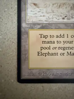 Magic The Gathering MTG Elephant Graveyard 1993 Arabian Nights LP - Image 5
