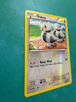 Pidove 123/149 Common Boundaries Crossed Pokemon Reverse Holo Moderately Played - Image 2