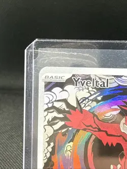 2023 Pokemon Paradox Rift Yveltal #205/182 Illustration Rare - Image 3