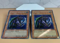 Yu-Gi-Oh! Panther Warrior x2 - CT2-EN006 - Secret Rare - Limited Edition - Image 3