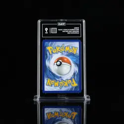 Pokemon Horsea Illustration Rare Holo SV Shrouded Fable 067/064 2024 TAG 9 TCG - Image 2