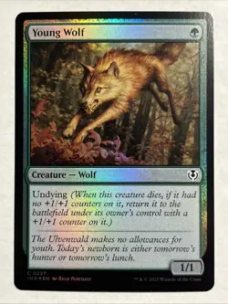 Young Wolf Innistrad Remastered Foil - Image 1