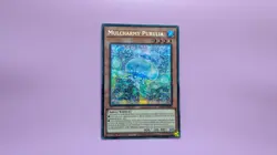 Yugioh Mulcharmy Purulia MP25-EN085 1st edition Prismatic Secret Rare - Image 1