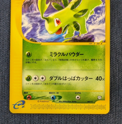 Pokemon Card Bayleef 007/T Trainers Magazine Volume 16 Promo From Japan -NM- - Image 4