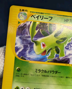 Pokemon Card Bayleef 007/T Trainers Magazine Volume 16 Promo From Japan -NM- - Image 5