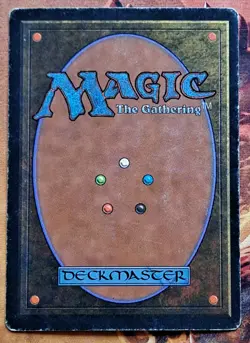 Mtg Italian BB 4th Edition Revised Counterspell x2 One Signed By Mark Poole! - Image 5