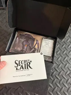 2025 Festival in a Box: Atlanta Box MTG Secret Lair | Presale promo complete - Image 4