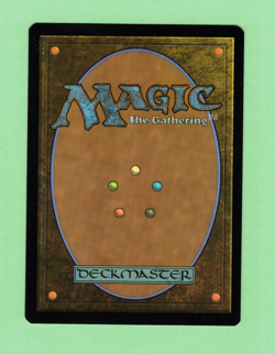 MTG - NEVERWINTER HYDRA 310 R AFC 2021 EXTENDED ART - Image 2