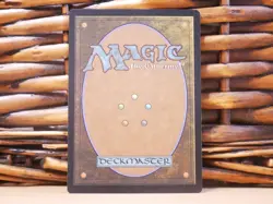 MTG Rishadan Port 241 | RARE FUTURE SIGHT | NM Near Mint | MB2 | 2024 - Image 2
