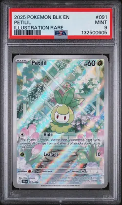 2025 POKEMON BLK EN-BLACK BOLT ILLUSTRATION RARE #091 PETILIL PSA 9 - Image 1